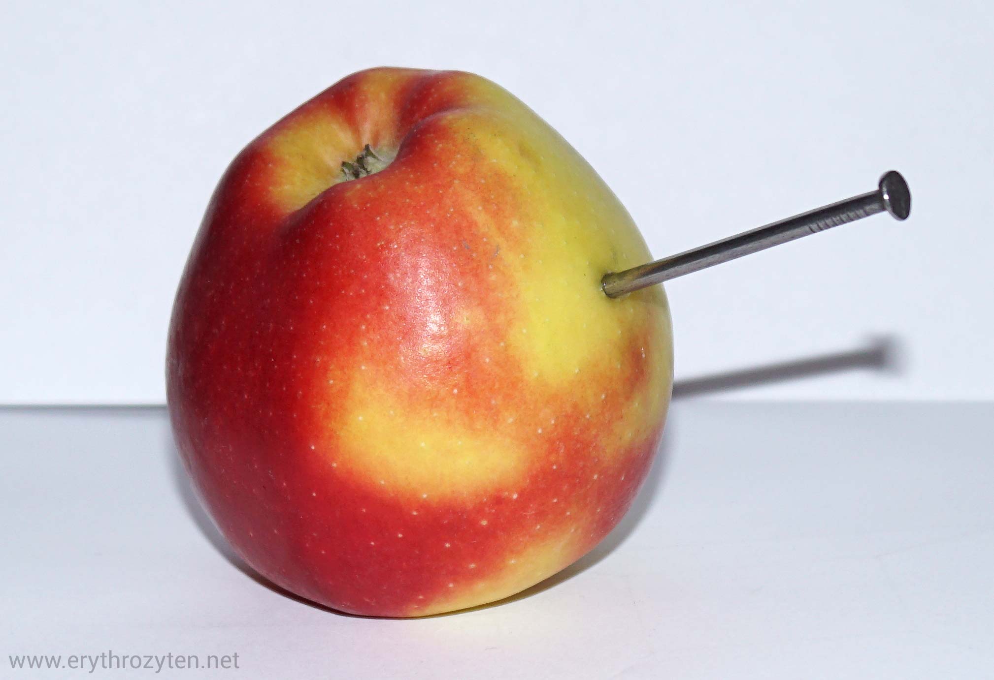 Nagel Im Apfel Gegen Eisenmangel Eisenmangelanämie