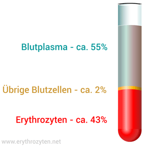 Was ist Blutplasma?