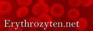 Erythrozyten.net Logo