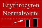 Erythrozyten Normalwerte