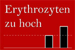 Zu Hoch Zu Hoch