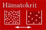Hämatokrit-Wert