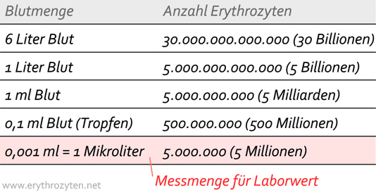 Wie viel Erythrozyten hat ein Mensch?