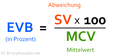 Erythrozytenverteilungsbreite (EVB) Berechnung