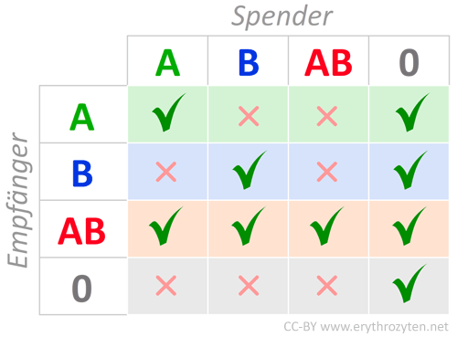 Blutgruppen (Tabelle)