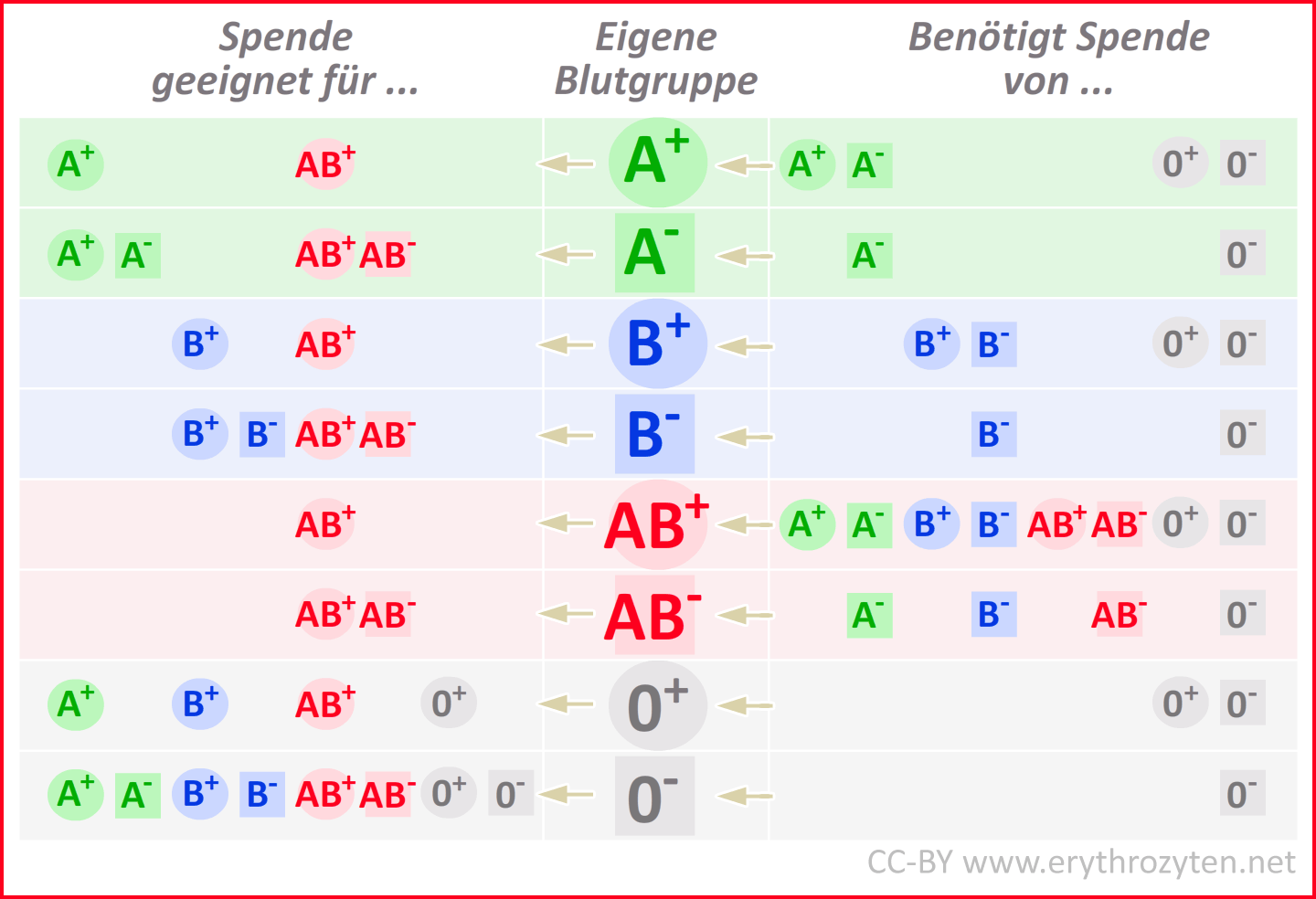 Blutgruppe B